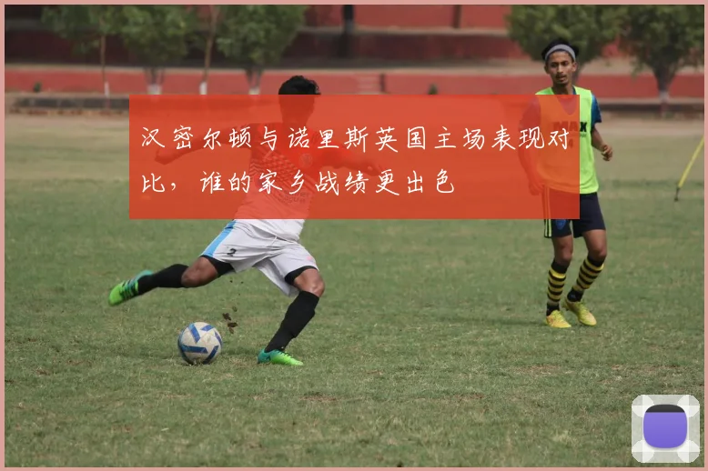 汉密尔顿与诺里斯英国主场表现对比，谁的家乡战绩更出色
