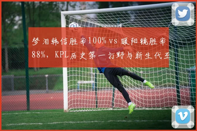 梦泪韩信胜率100% vs 暖阳镜胜率88%,KPL历史第一打野与新生代王者巅峰对话